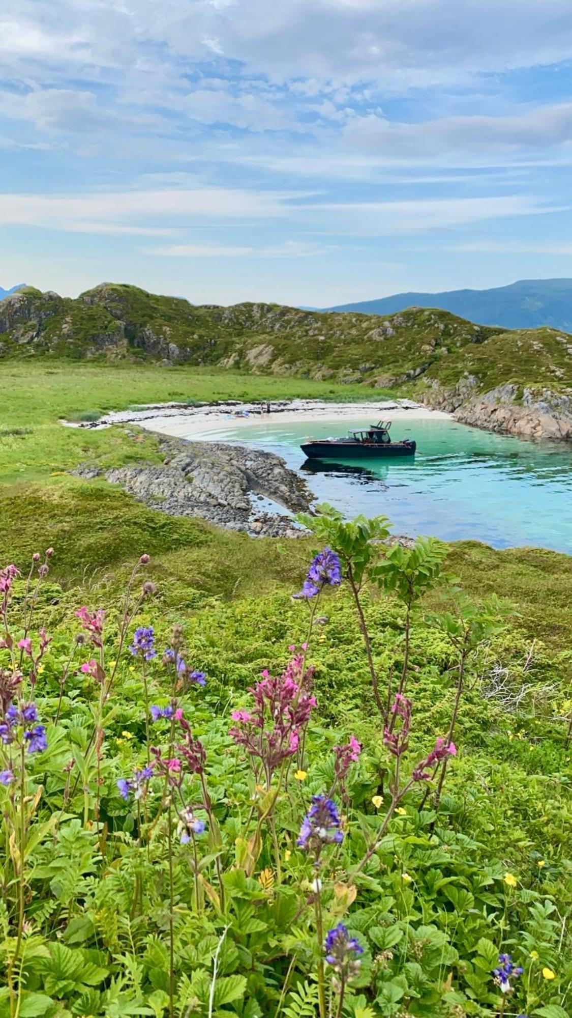 Lofoten And Vesteralen Kveldro Myrland Exteriér fotografie