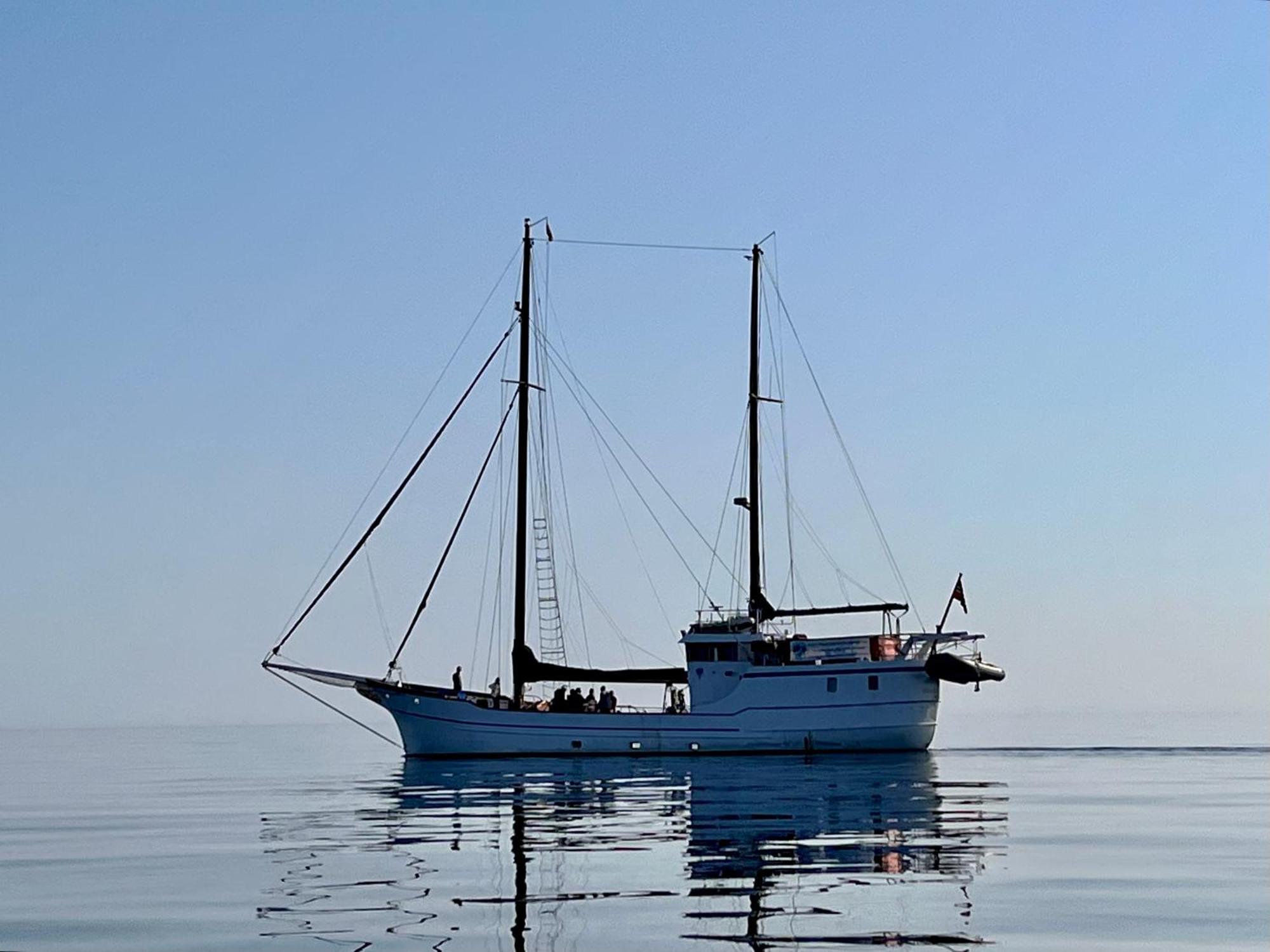 Lofoten And Vesteralen Kveldro Myrland Exteriér fotografie